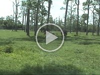 Untitled Clip 01 31
